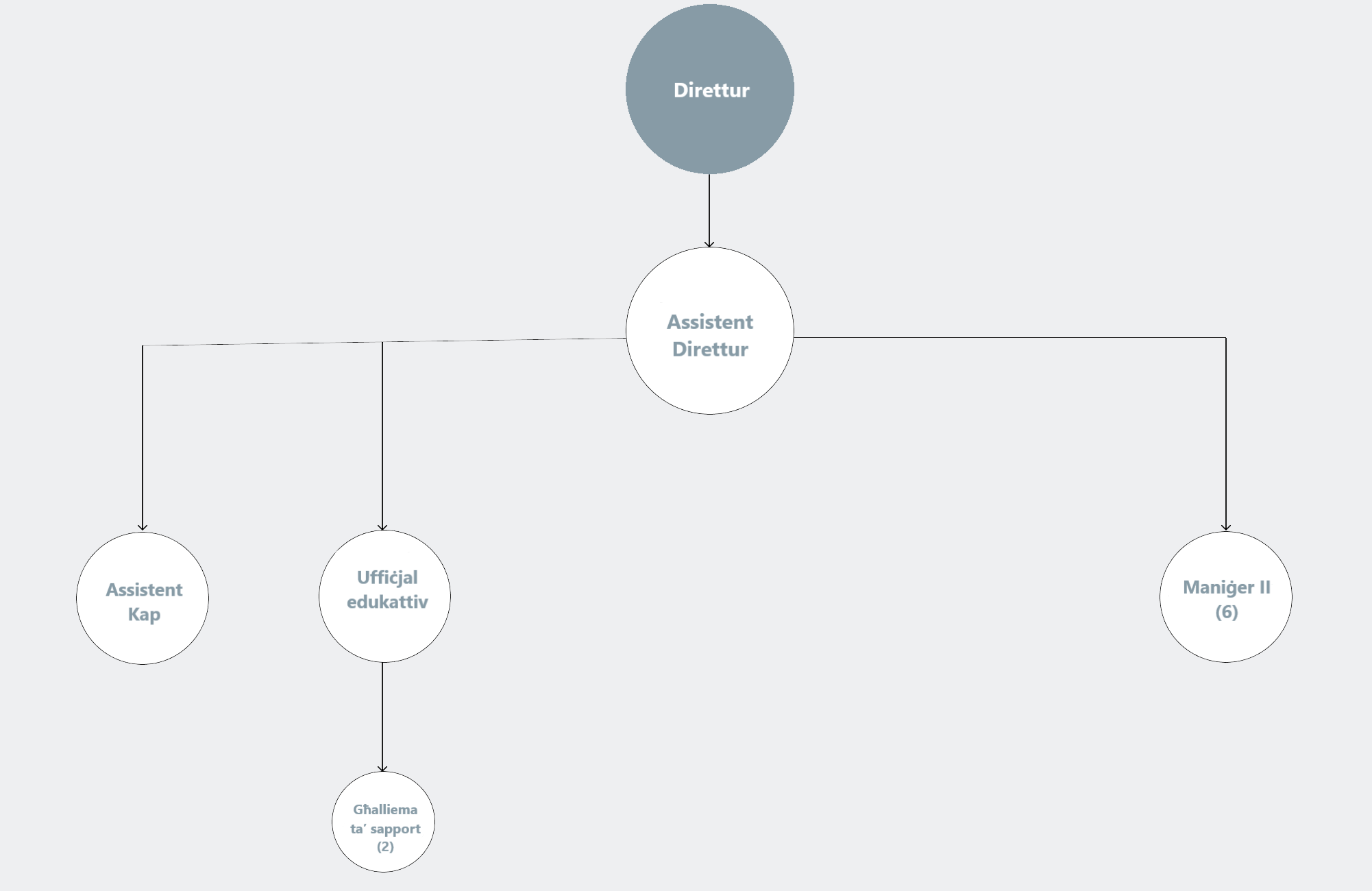 organogram RSIRD - Maltese